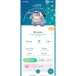 Shiny sunglasses blastoise Trade 