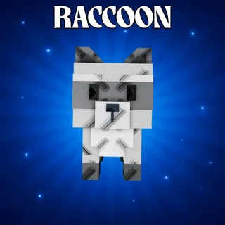 Raccoon