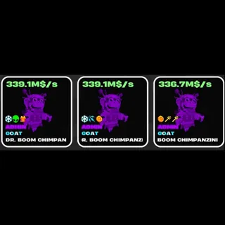 ADMIN DR. BOOM CHIMPANZINI X3