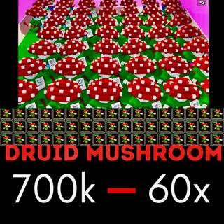 60x DRUID MUSHROOM