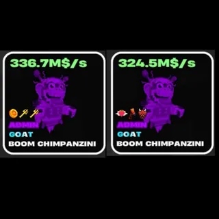 ADMIN DR.BOOM CHIMPANZINI 