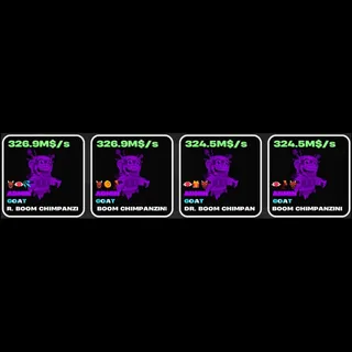 ADMIN DR. BOOM CHIMPANZINI X4