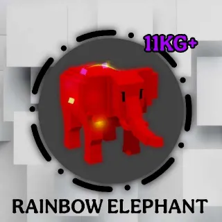 Rbh Elephant | 11kg+