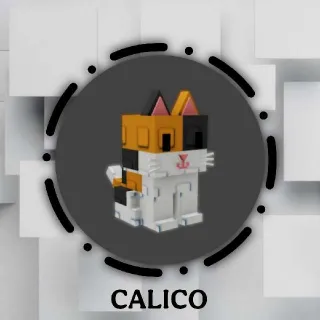 Calico 61kg