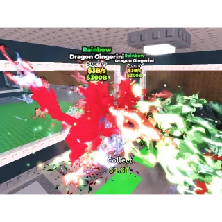 2 Rainbow Dragon Gingerini