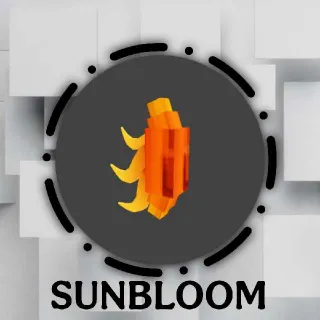 ×20 Sun Bloom