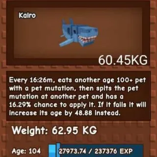 Shark 60kg+