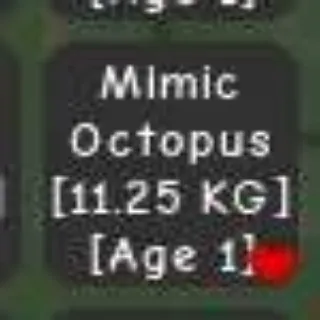Mimic Octopus