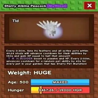 Starry Albino Peacock