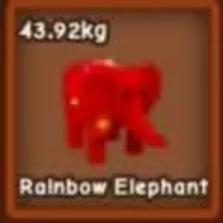Rbh Elephant Low Kg
