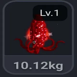 Squid