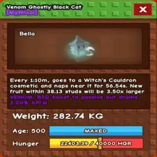 Ghostly Black Cat