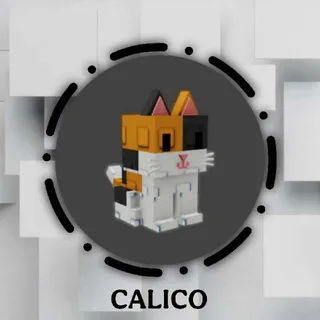 Calico 60kg