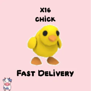 x16 Chick