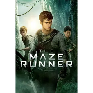 The Maze Runner HD MOVIESANYWHERE