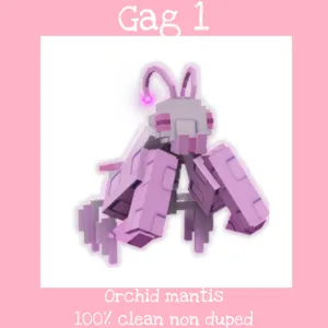 gag orchid mantis