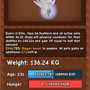 Albino Peacock