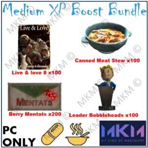 Medium XP Boost Bundle 1