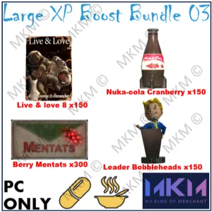 Large XP Boost Bundle 03