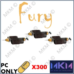 x300 Fury