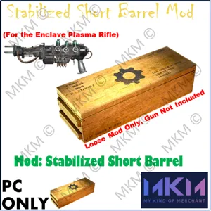 Stabilized Short Barrel