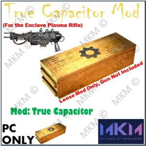 True Capacitor
