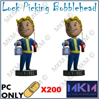 X200 Lock Picking BBH