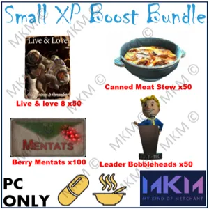 Small XP Boost Bundle 1