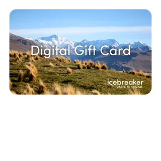$100 Instant Delivery - Icebreaker