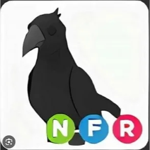 NFR Crow