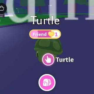 Turtle