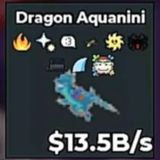 ✅ 【👑 HIGH B/S】 【13.5B/S】 | 🌸 DRAGON AQUANINI | 9 TRAITS | SUN TRAIT | FAST DELIVERY ⚡