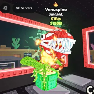 ✅ 【BEST DEAL】 【1B/S】 | 🌸 VENUSPINO | FAST DELIVERY ⚡