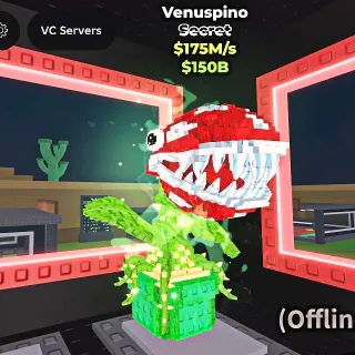 ✅ 【BEST DEAL】 【175M/S】 | 🌸 VENUSPINO | FAST DELIVERY ⚡