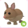 Neon Bandicoot