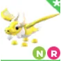 NR Ancient Dragon