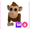 MR Monkey