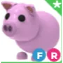 FR pig
