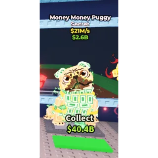 Money Money Puggy 21m/s