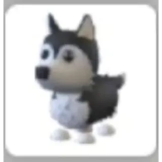 HUSKY