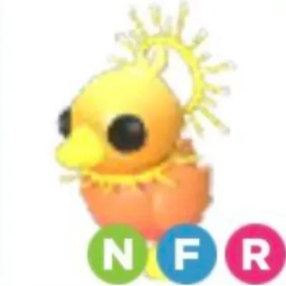 SUNRISE DUCKLING NFR