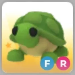 TURTLE FR