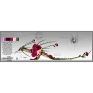 Skulderouge - CREATURES OF SONARIA