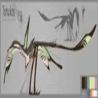 Tohukos Specie - CREATURES OF SONARIA