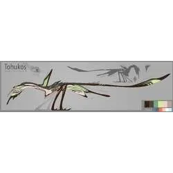Tohukos Specie - CREATURES OF SONARIA