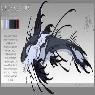 Magnacetus Specie - CREATURES OF SONARIA