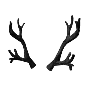 black iron antler BIA