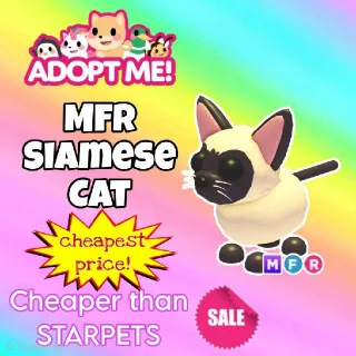 MFR Siamese Cat (Cheap!)