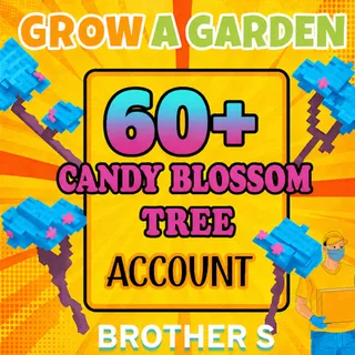 60+ CANDY BLOSSOM TREE