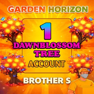 DAWN BLOSSOM ACCOUNT